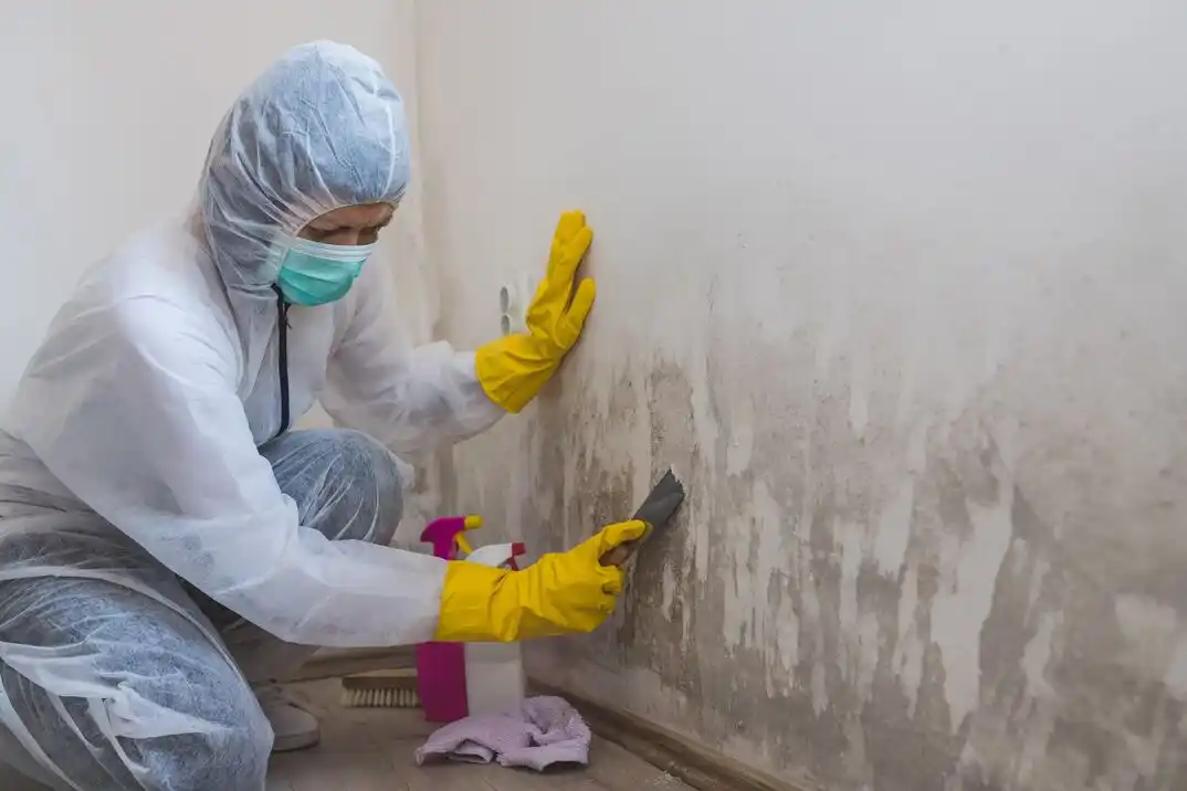 water damage restoration service Devers Area